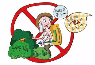 初級農(nóng)產(chǎn)品原料的食品安全風險與農(nóng)藥管理探討
